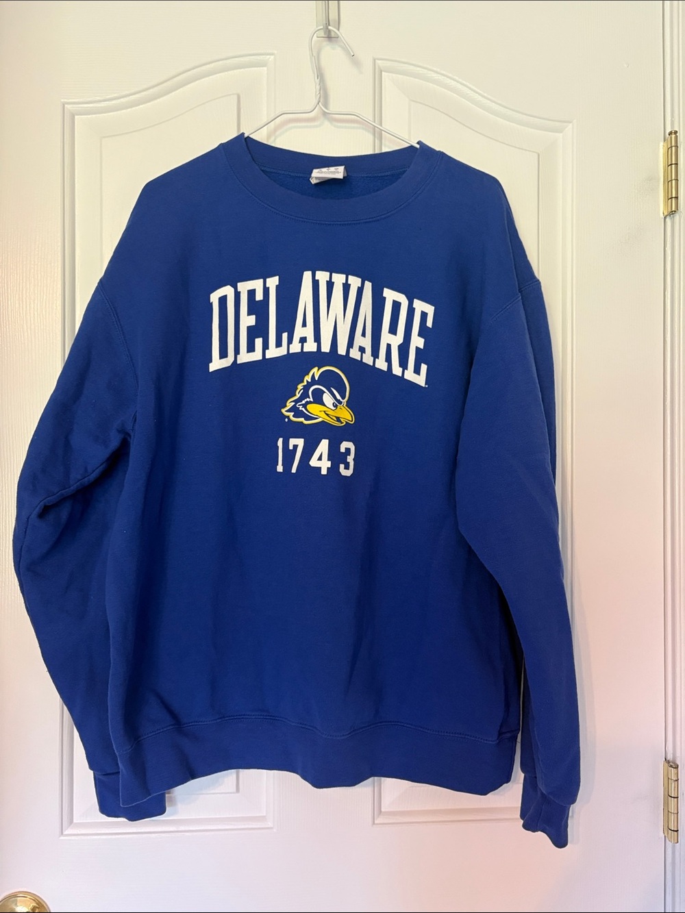Champion Royal Blue Delaware Crewneck Sweatshirt with Mascot